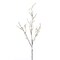 Contemporary Home Living Set of 12 White and Brown Snow Berry Branch 30” H
